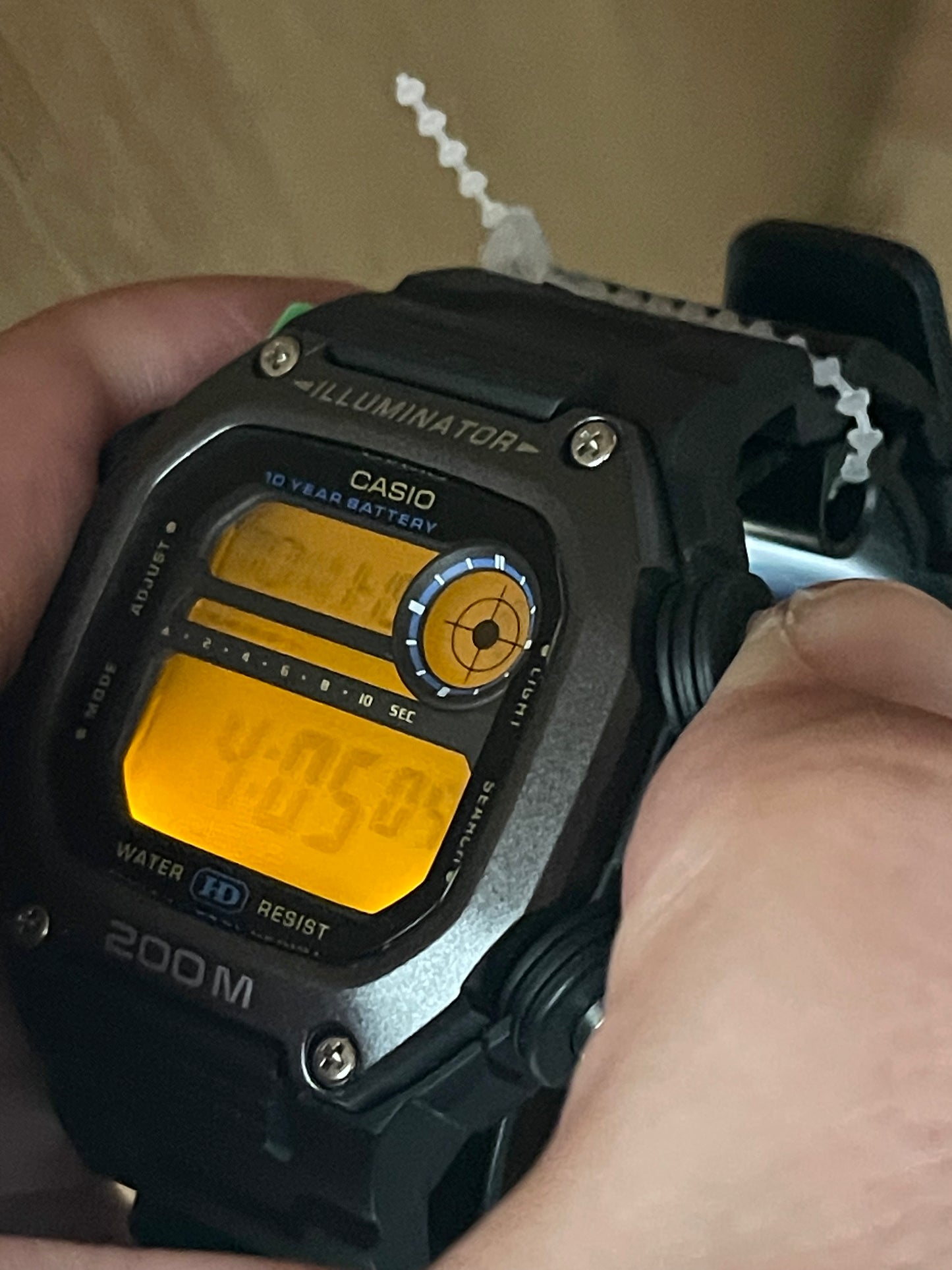 Casio DW-291