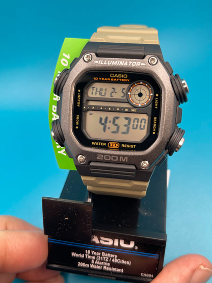 Casio DW-291