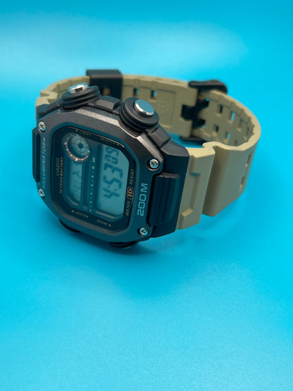 Casio DW-291