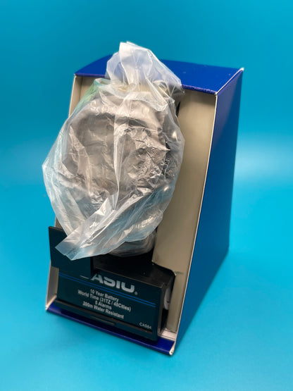Casio DW-291