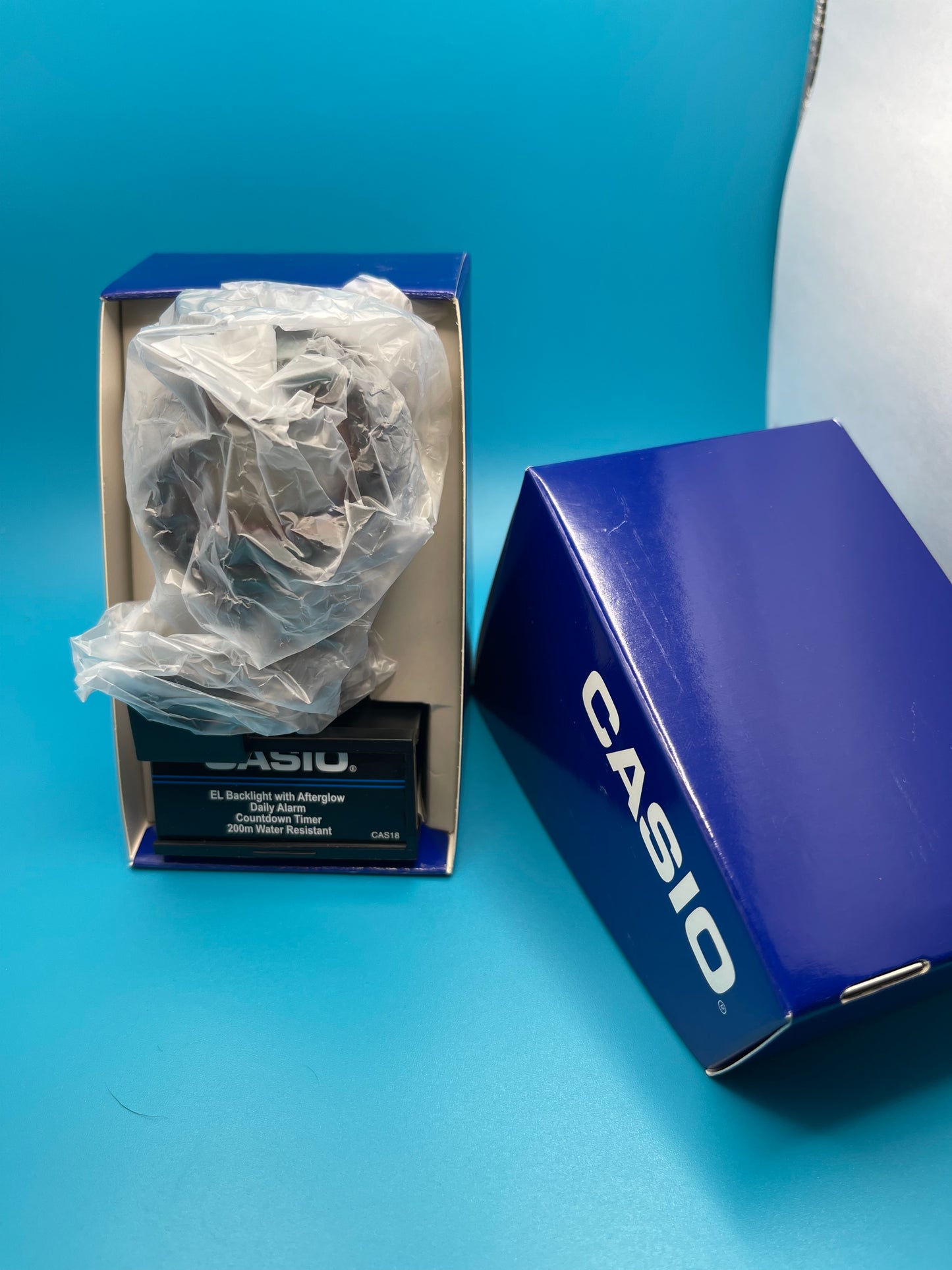 Casio DW-290