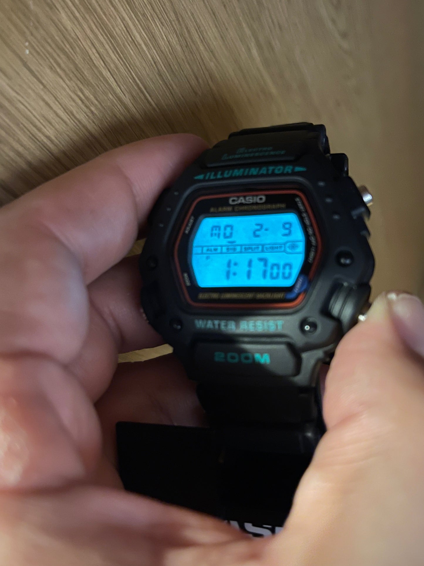 Casio DW-290