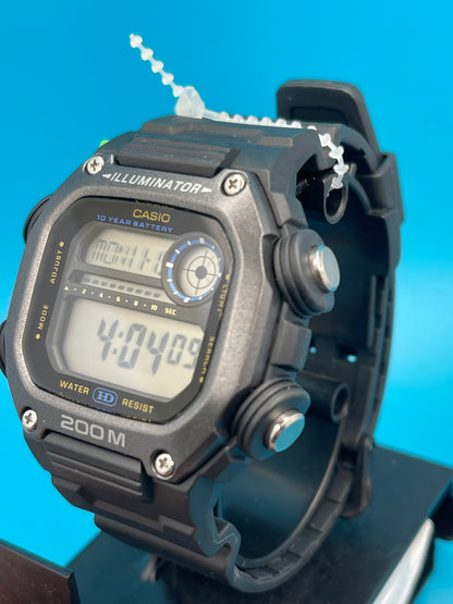 Casio DW-291
